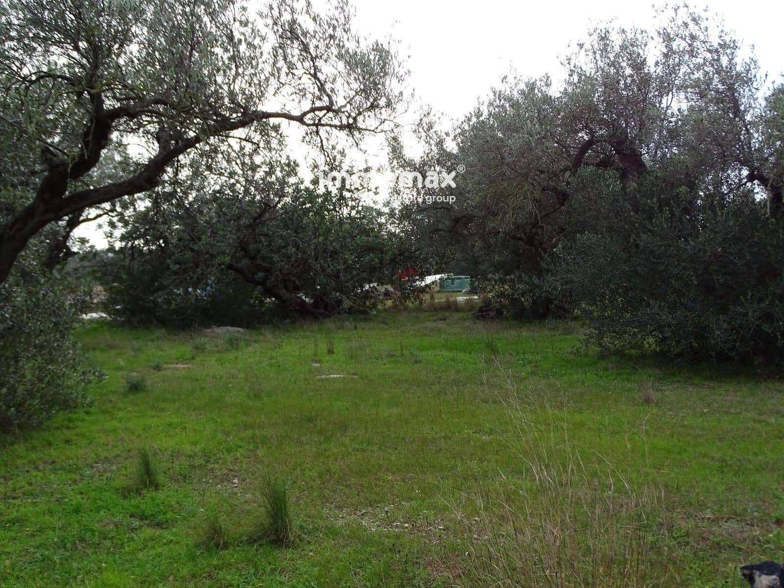 Terreno Não Urbanizado para venda em Roquetes - 92 000 € (Ref: 9539058)