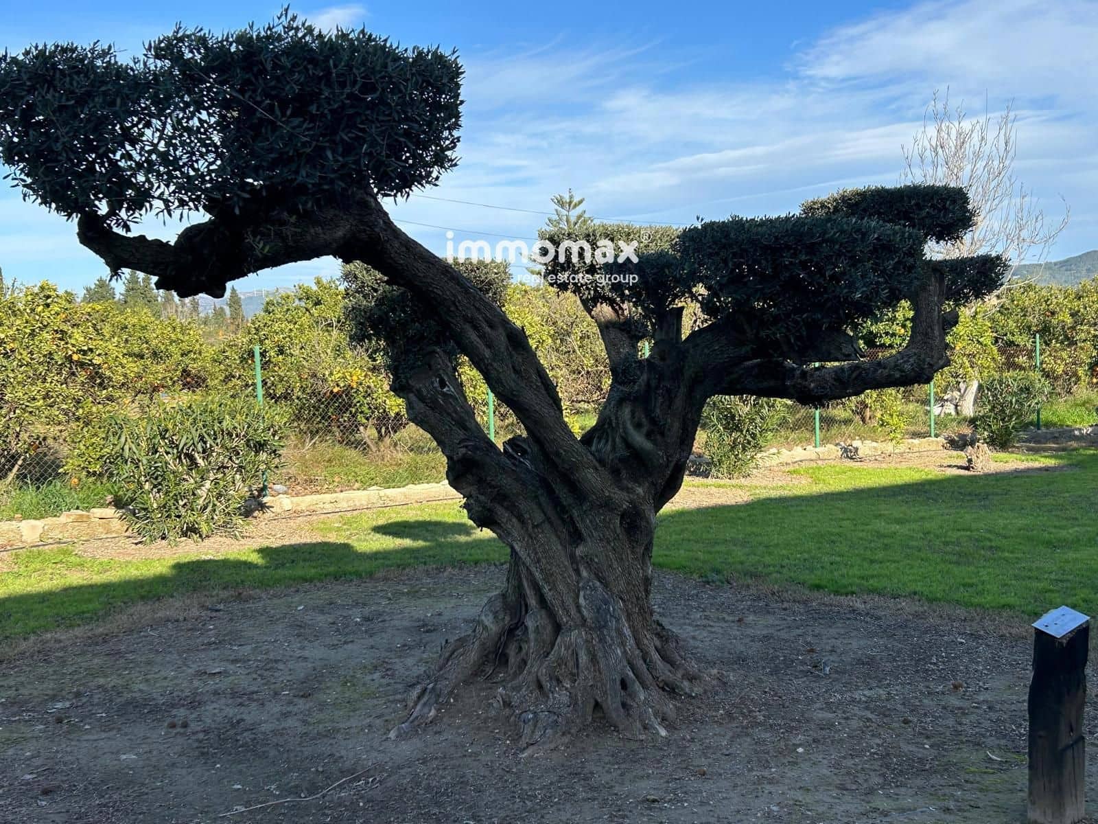 3 bedroom Villa for sale in Tortosa with pool garage - € 577,500 (Ref: 9542302)