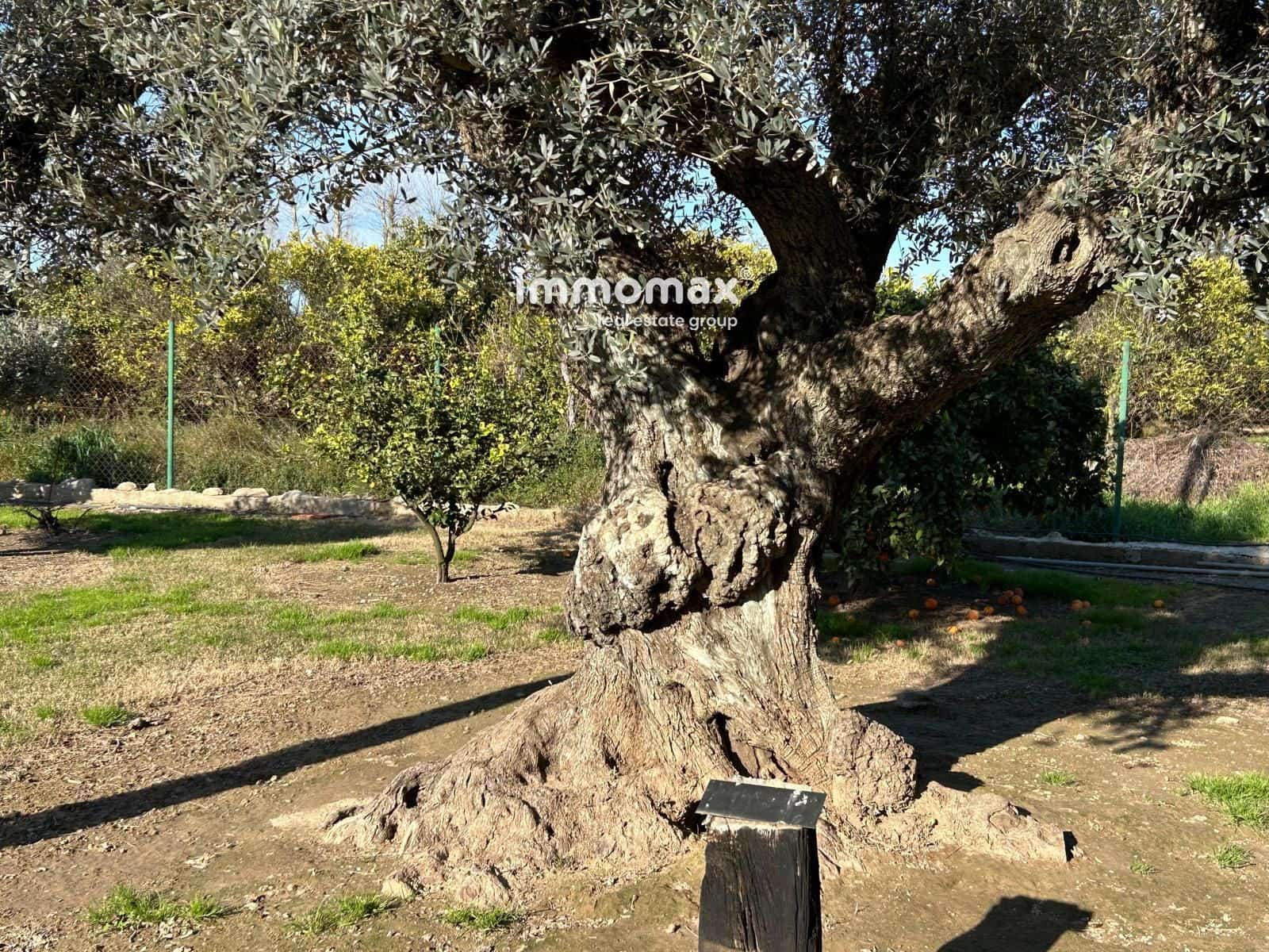 3 bedroom Villa for sale in Tortosa with pool garage - € 577,500 (Ref: 9542302)