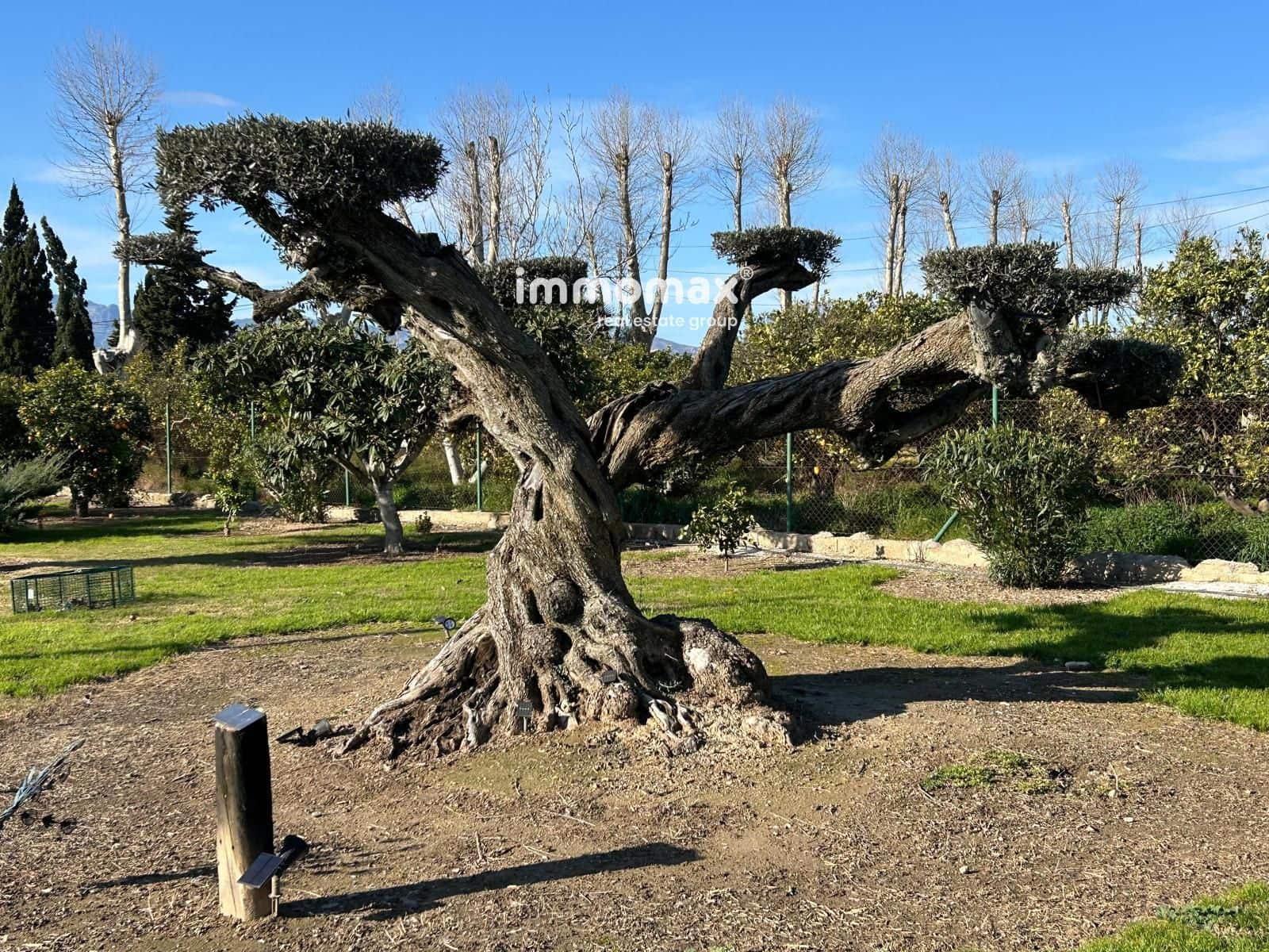 3 bedroom Villa for sale in Tortosa with pool garage - € 577,500 (Ref: 9542302)