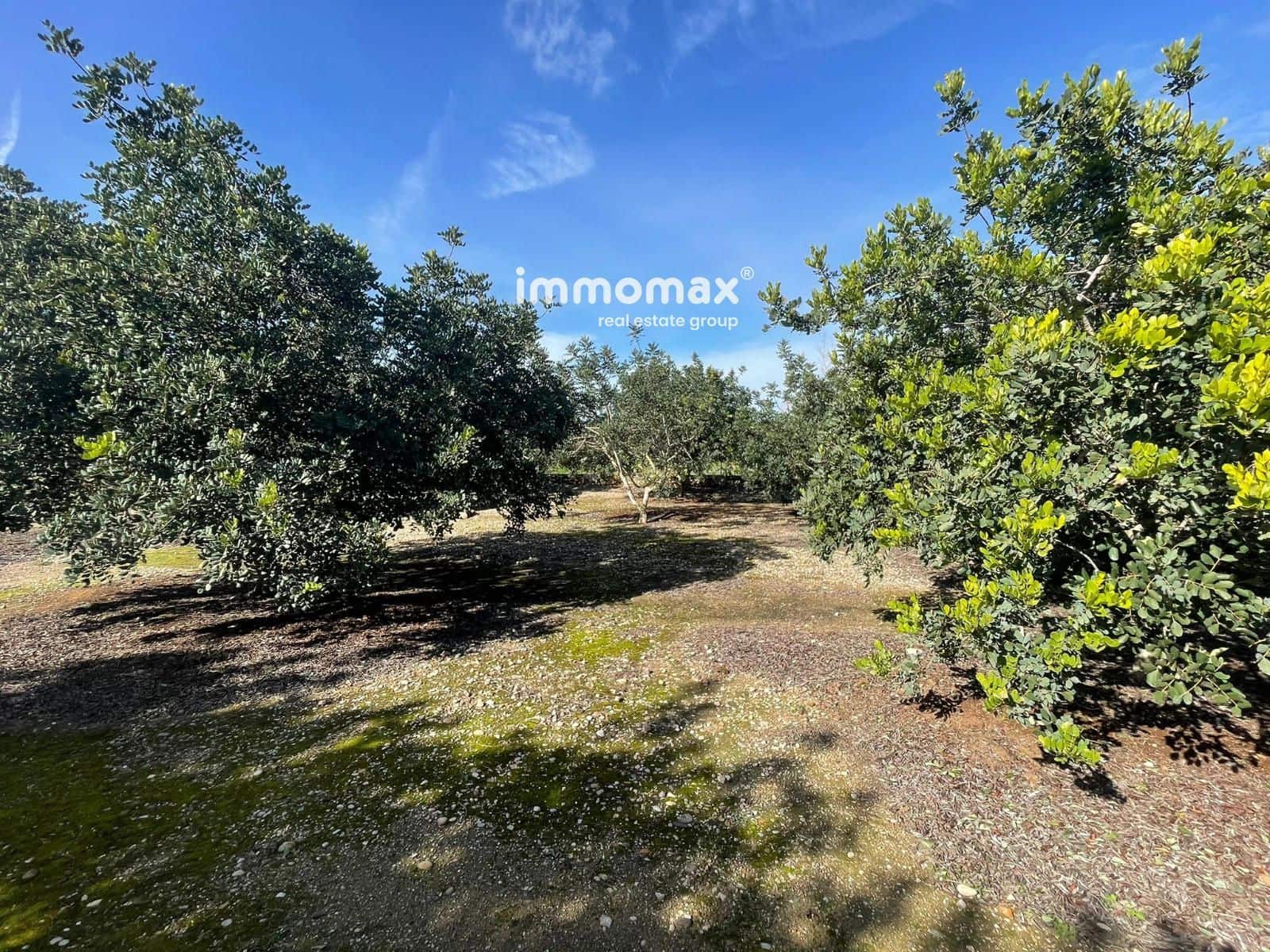 Grunde uden byggetilladelser til salg i Xerta - € 61.000 (Ref: 9552622)