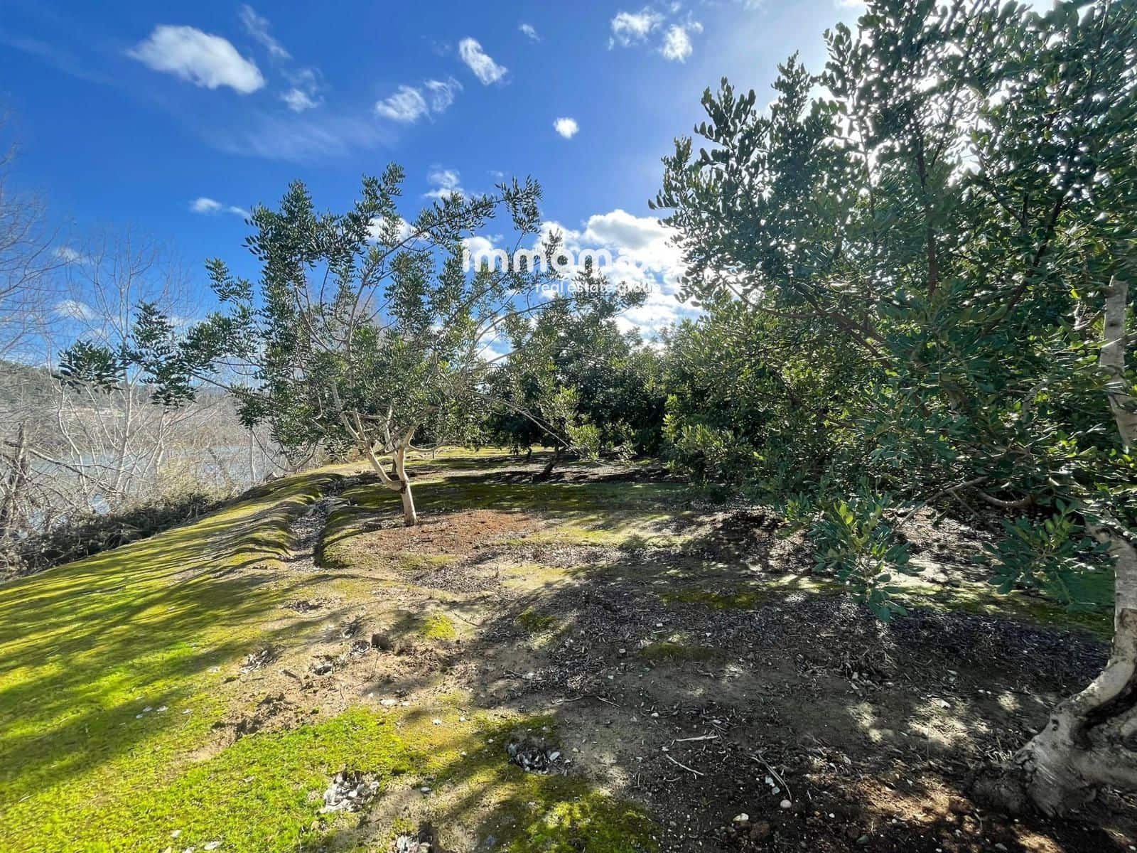 Grunde uden byggetilladelser til salg i Xerta - € 61.000 (Ref: 9552622)