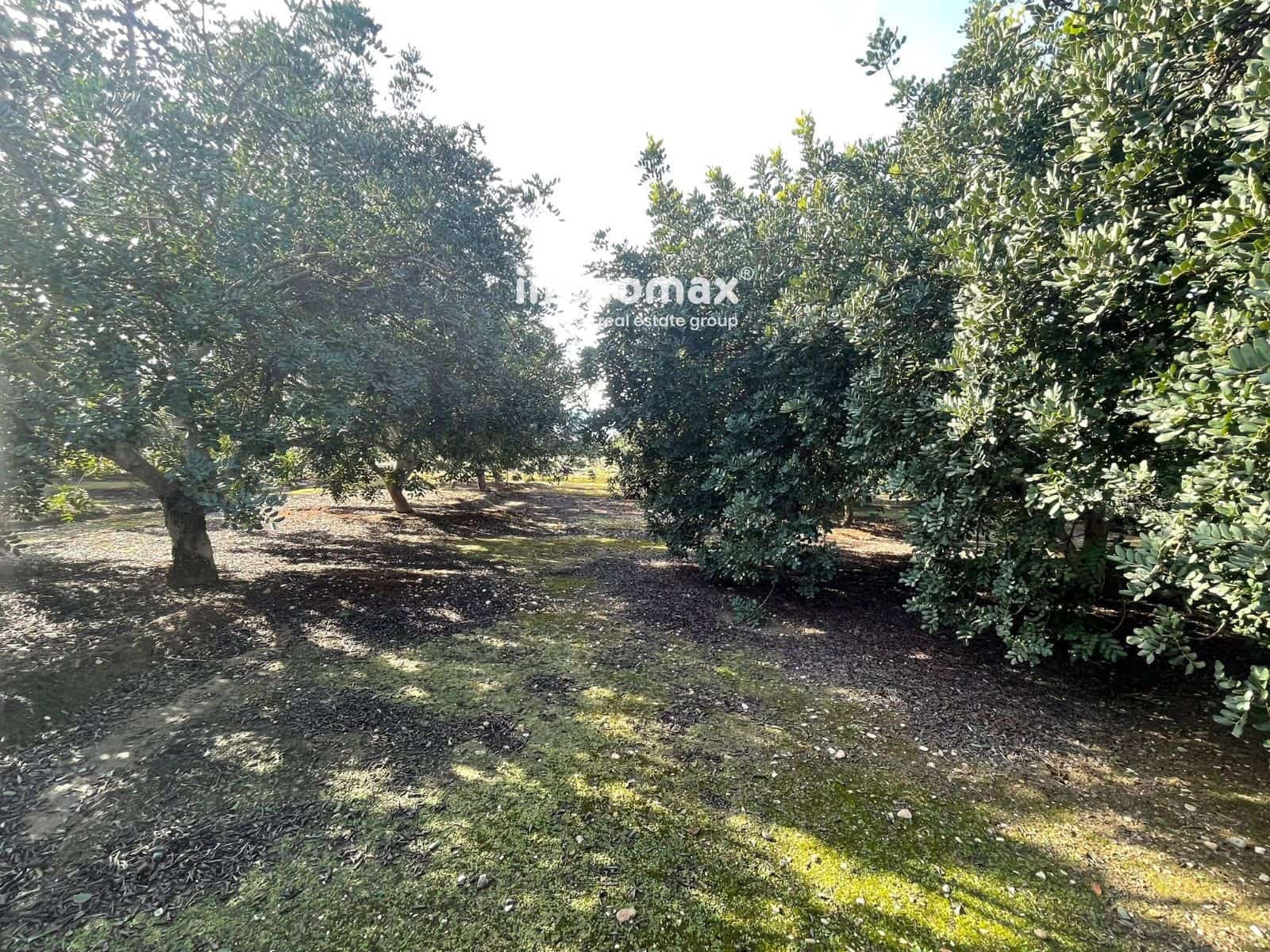 Grunde uden byggetilladelser til salg i Xerta - € 61.000 (Ref: 9552622)