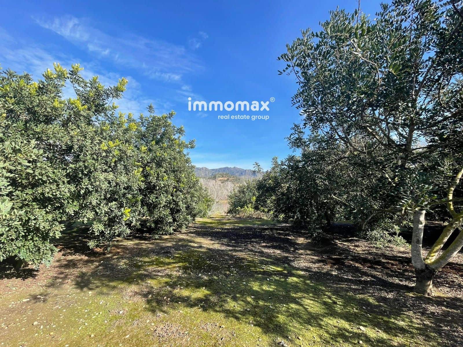 Grunde uden byggetilladelser til salg i Xerta - € 61.000 (Ref: 9552622)