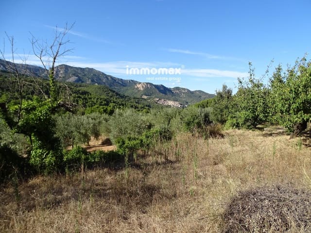 Undeveloped Land for sale in Paüls - € 41,000 (Ref: 9597148)
