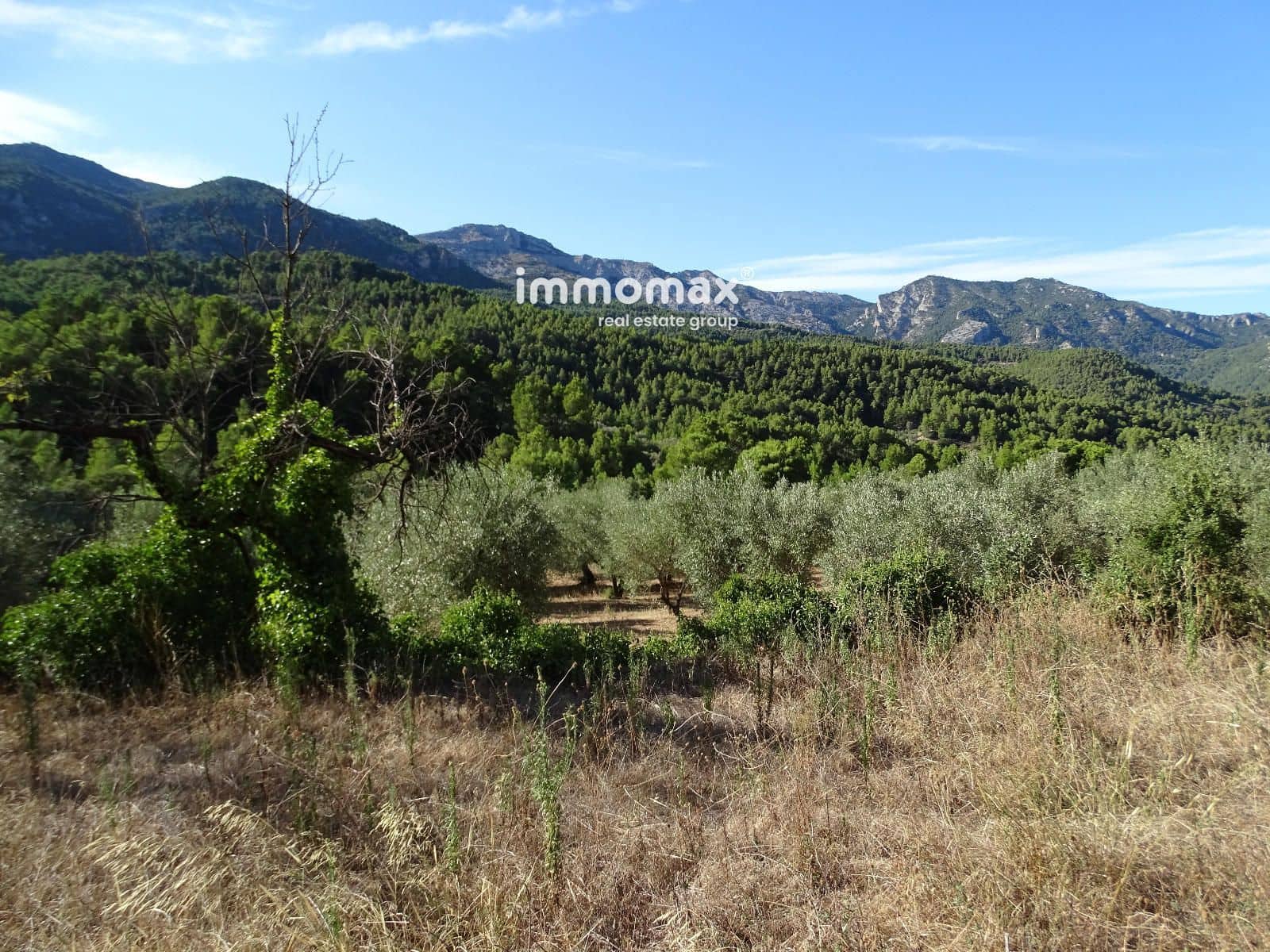 Landgrundstück zu verkaufen in Pauls - 41.000 € (Ref: 9597148)