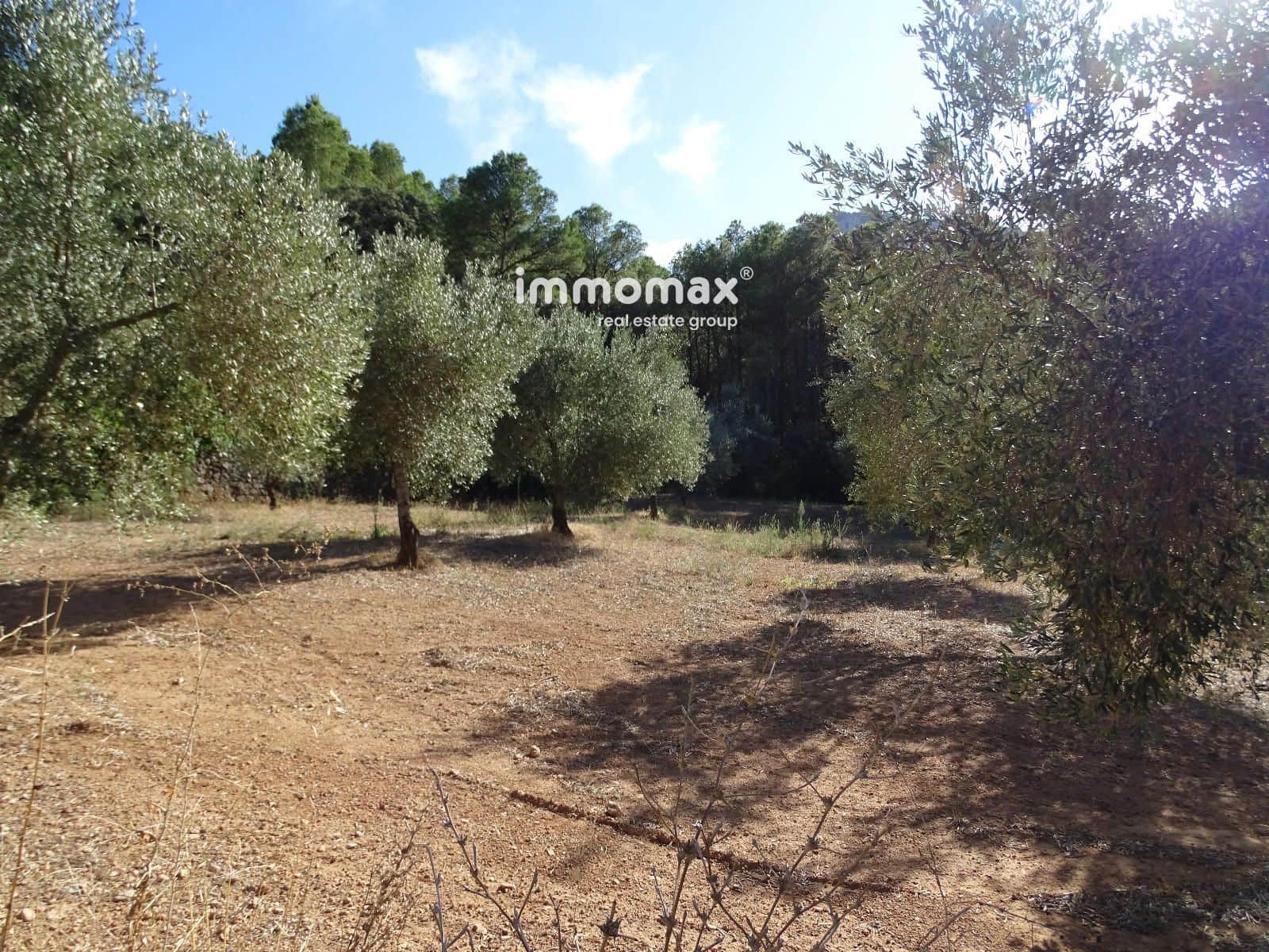 Landgrundstück zu verkaufen in Pauls - 41.000 € (Ref: 9597148)