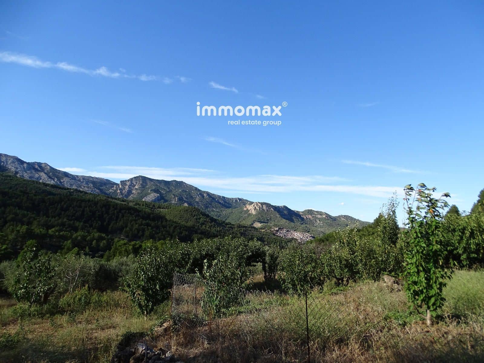 Landgrundstück zu verkaufen in Pauls - 41.000 € (Ref: 9597148)