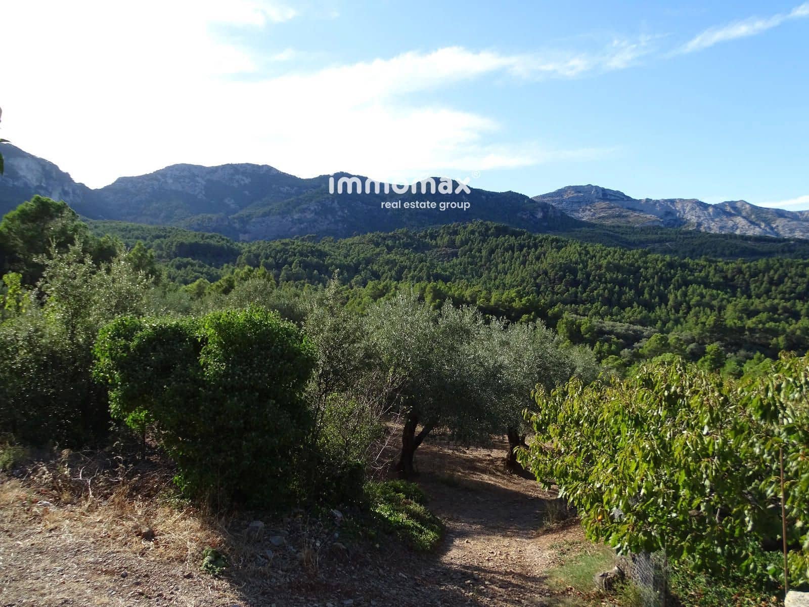 Landgrundstück zu verkaufen in Pauls - 41.000 € (Ref: 9597148)