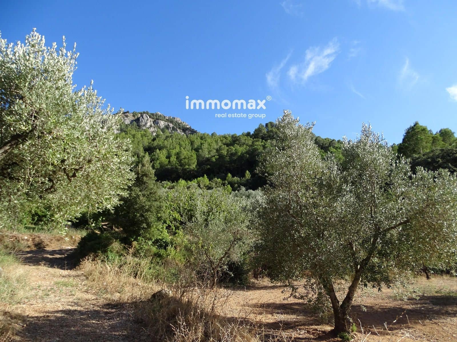 Landgrundstück zu verkaufen in Pauls - 41.000 € (Ref: 9597148)