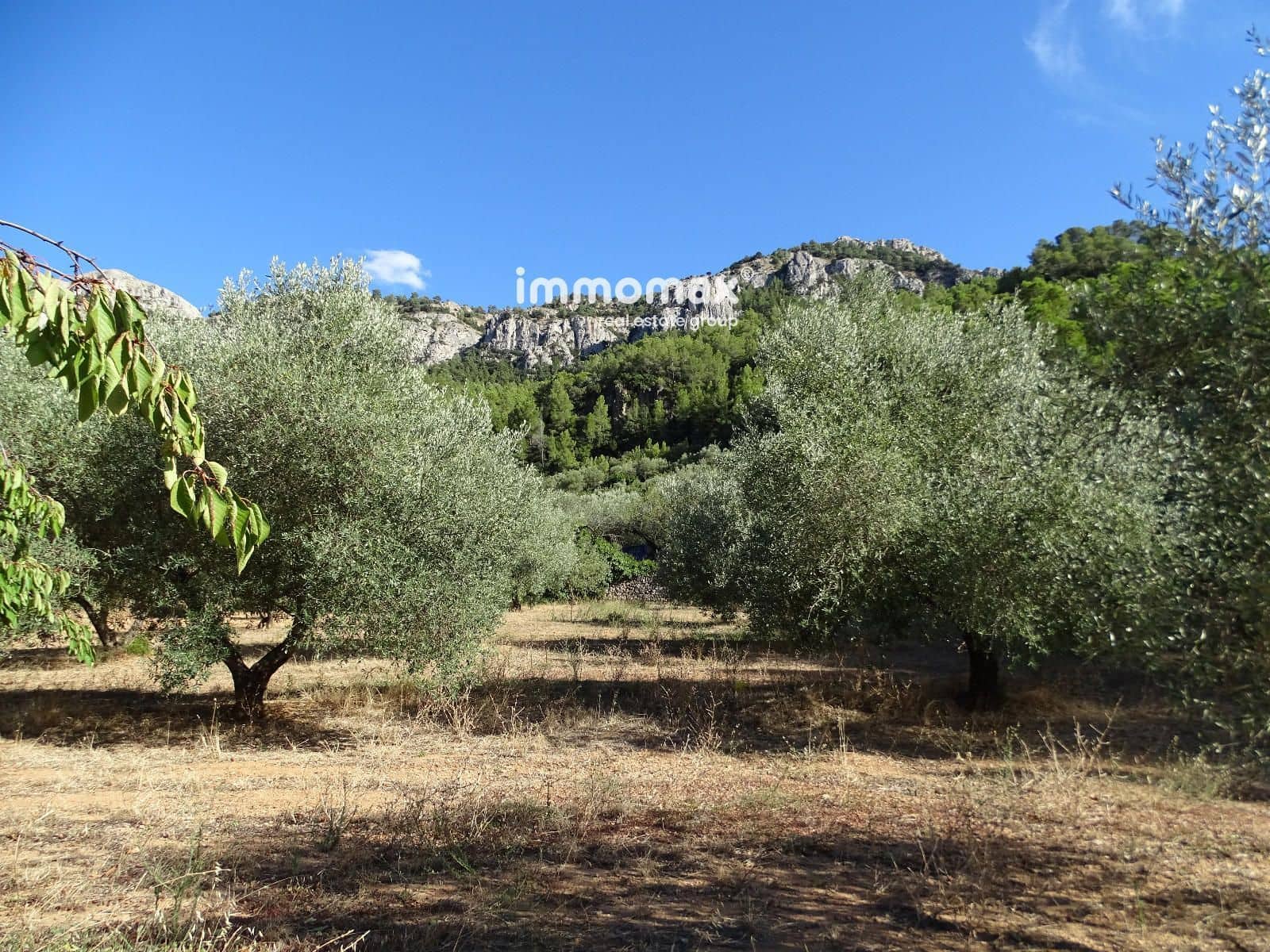 Landgrundstück zu verkaufen in Pauls - 41.000 € (Ref: 9597148)