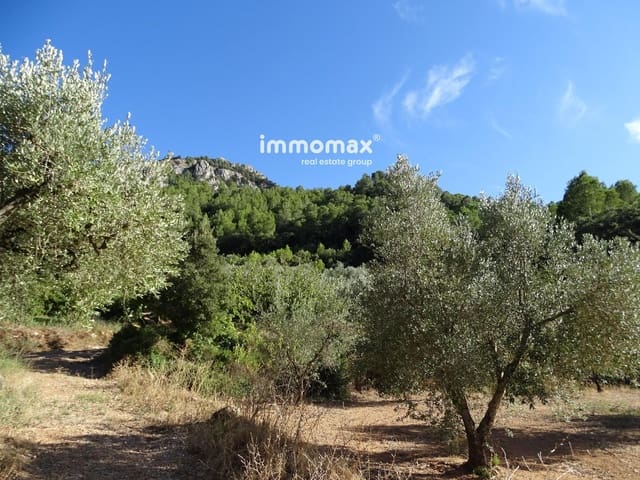 Undeveloped Land for sale in Paüls - € 41,000 (Ref: 9597148)