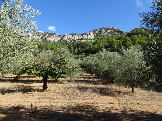 Undeveloped Land for sale in Paüls - € 41,000 (Ref: 9597148)