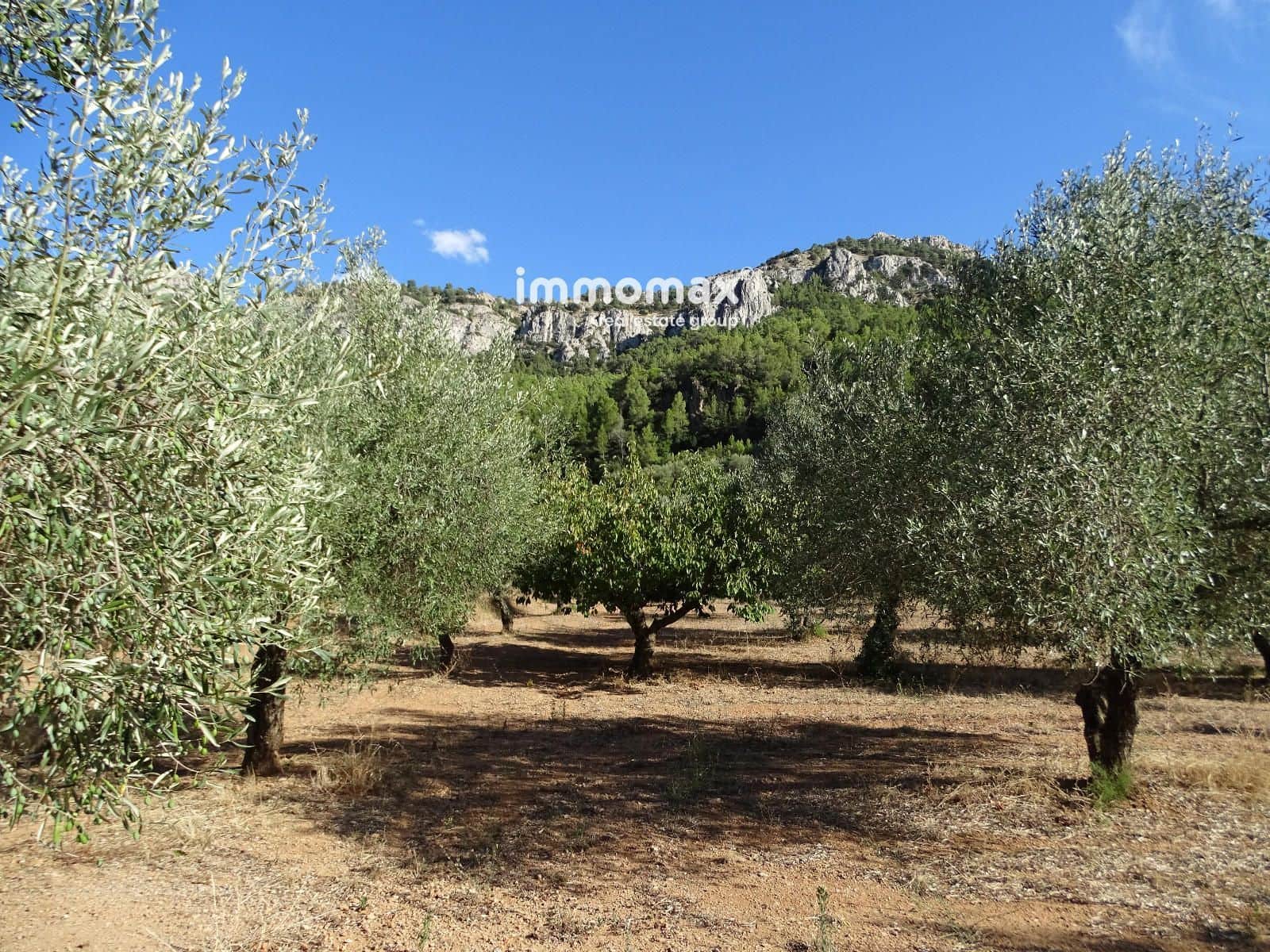 Landgrundstück zu verkaufen in Pauls - 41.000 € (Ref: 9597148)