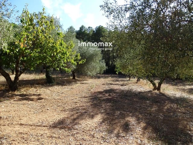 Undeveloped Land for sale in Paüls - € 41,000 (Ref: 9597148)