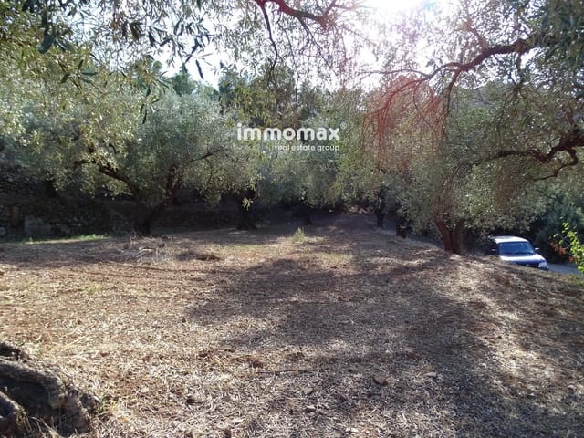 Undeveloped Land for sale in Paüls - € 41,000 (Ref: 9597148)