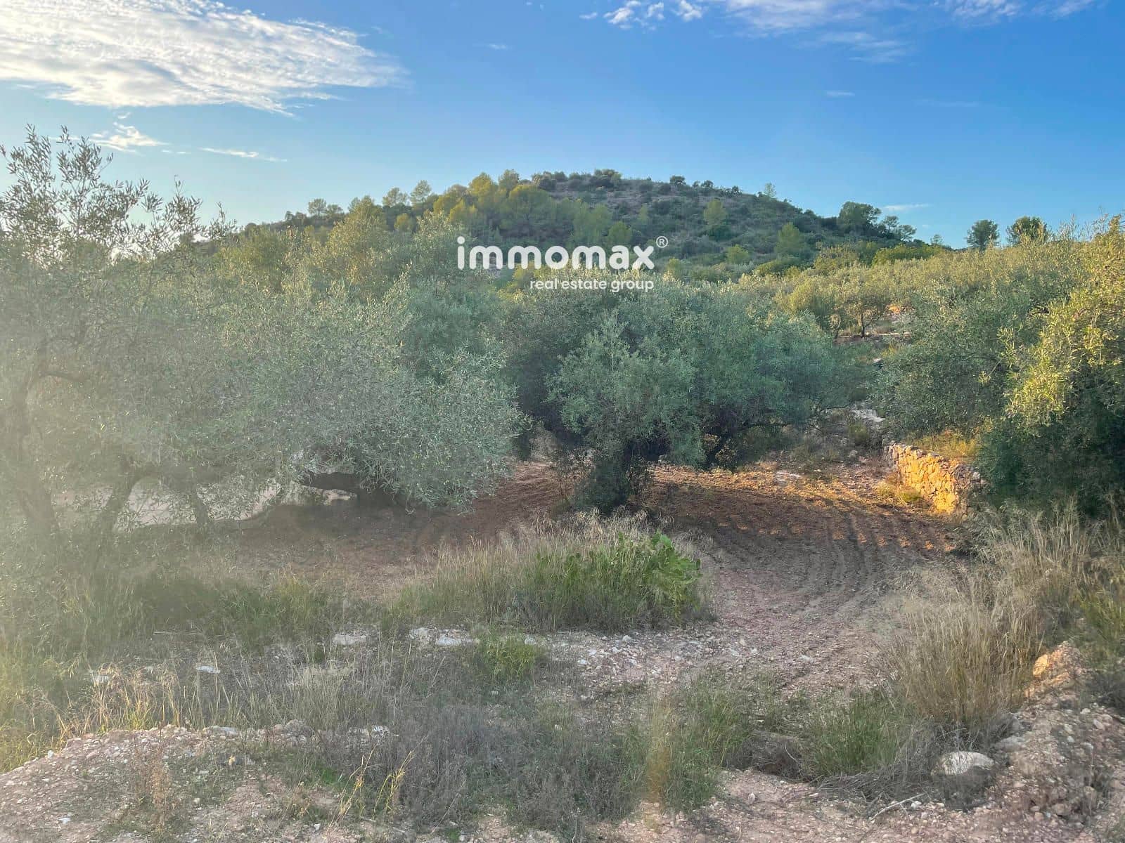 Landgrundstück zu verkaufen in Bitem - 56.000 € (Ref: 9598113)