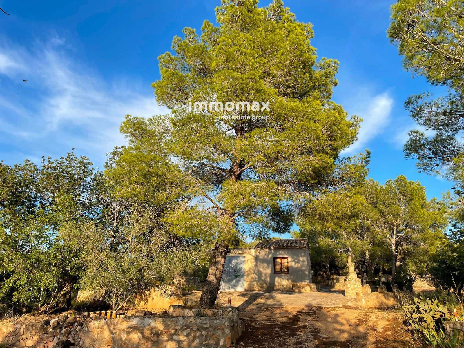 Landgrundstück zu verkaufen in Bitem - 56.000 € (Ref: 9598113)