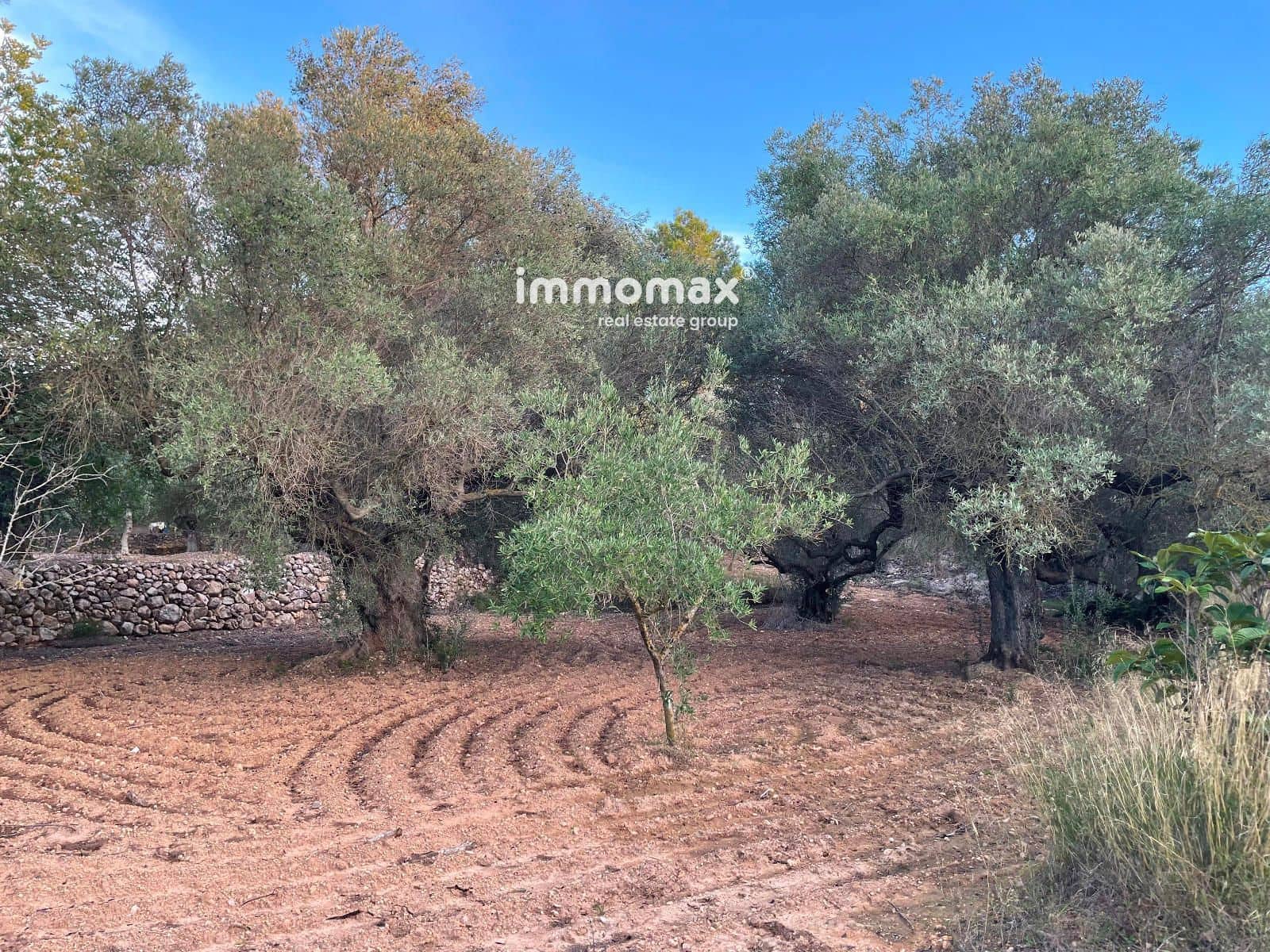 Landgrundstück zu verkaufen in Bitem - 56.000 € (Ref: 9598113)