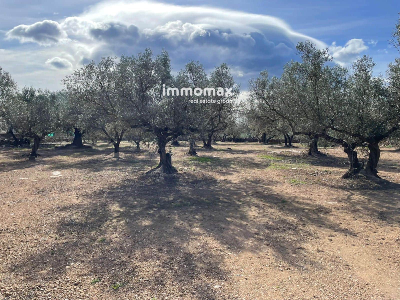 Ubebygd land til salgs i Aldover - € 23 000 (Ref: 9606611)