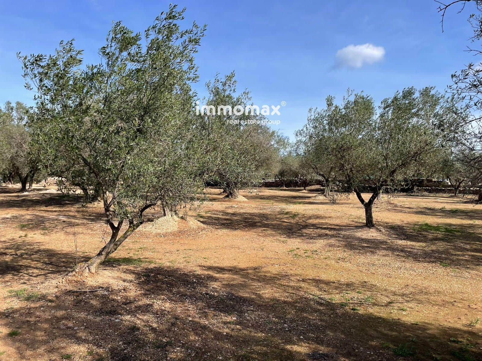 Ubebygd land til salgs i Aldover - € 23 000 (Ref: 9606611)