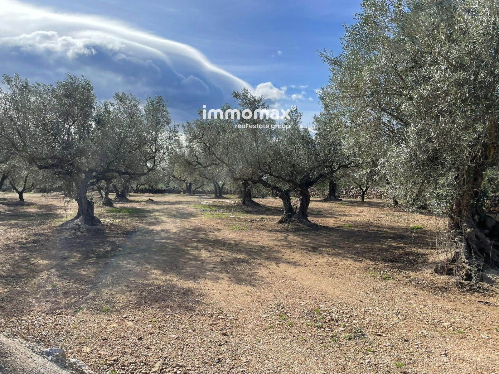 Ubebygd land til salgs i Aldover - € 23 000 (Ref: 9606611)