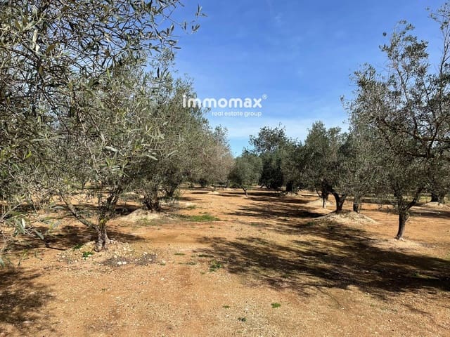 Ubebygd land til salgs i Aldover - € 23 000 (Ref: 9606611)