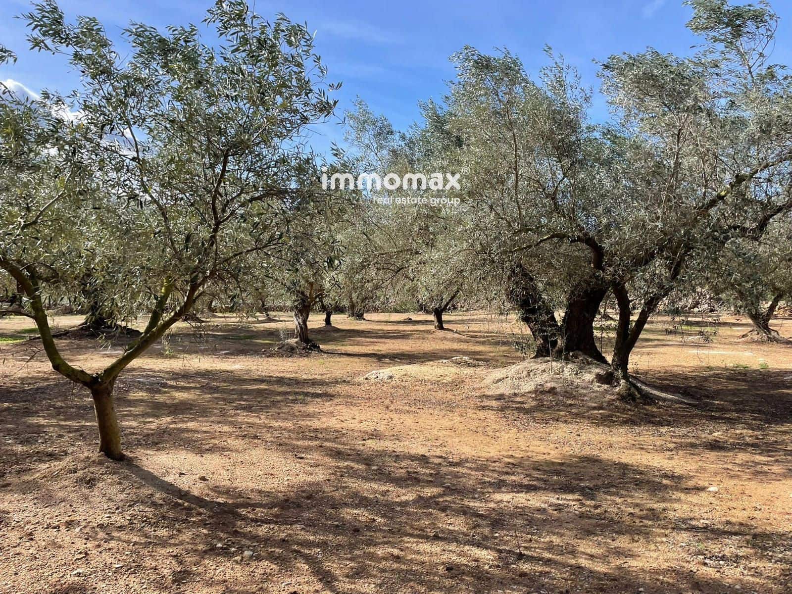 Ubebygd land til salgs i Aldover - € 23 000 (Ref: 9606611)