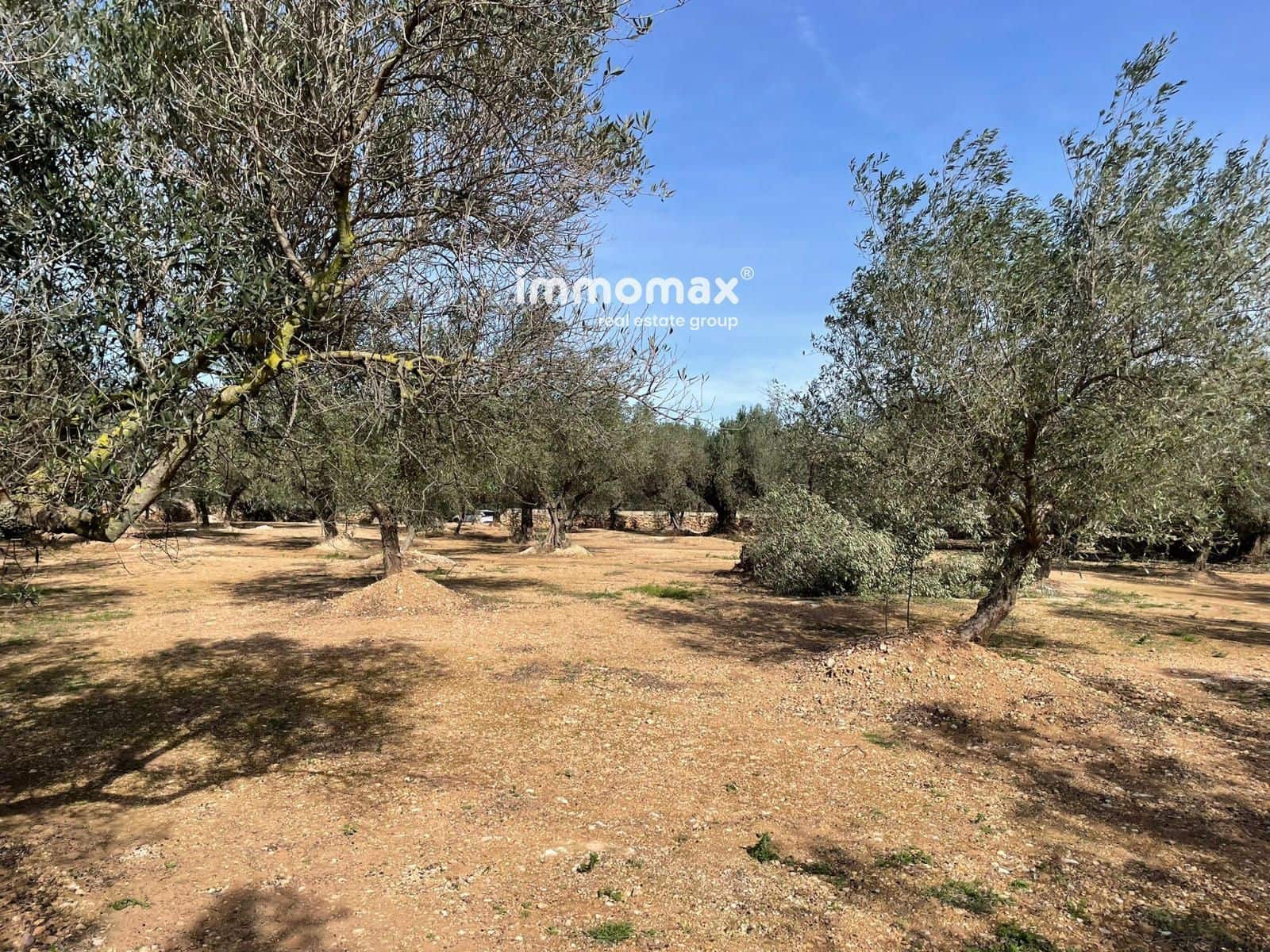 Ubebygd land til salgs i Aldover - € 23 000 (Ref: 9606611)