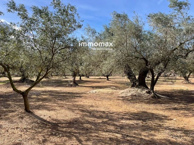 Ubebygd land til salgs i Aldover - € 23 000 (Ref: 9606611)