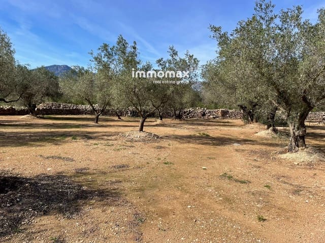 Ubebygd land til salgs i Aldover - € 23 000 (Ref: 9606611)