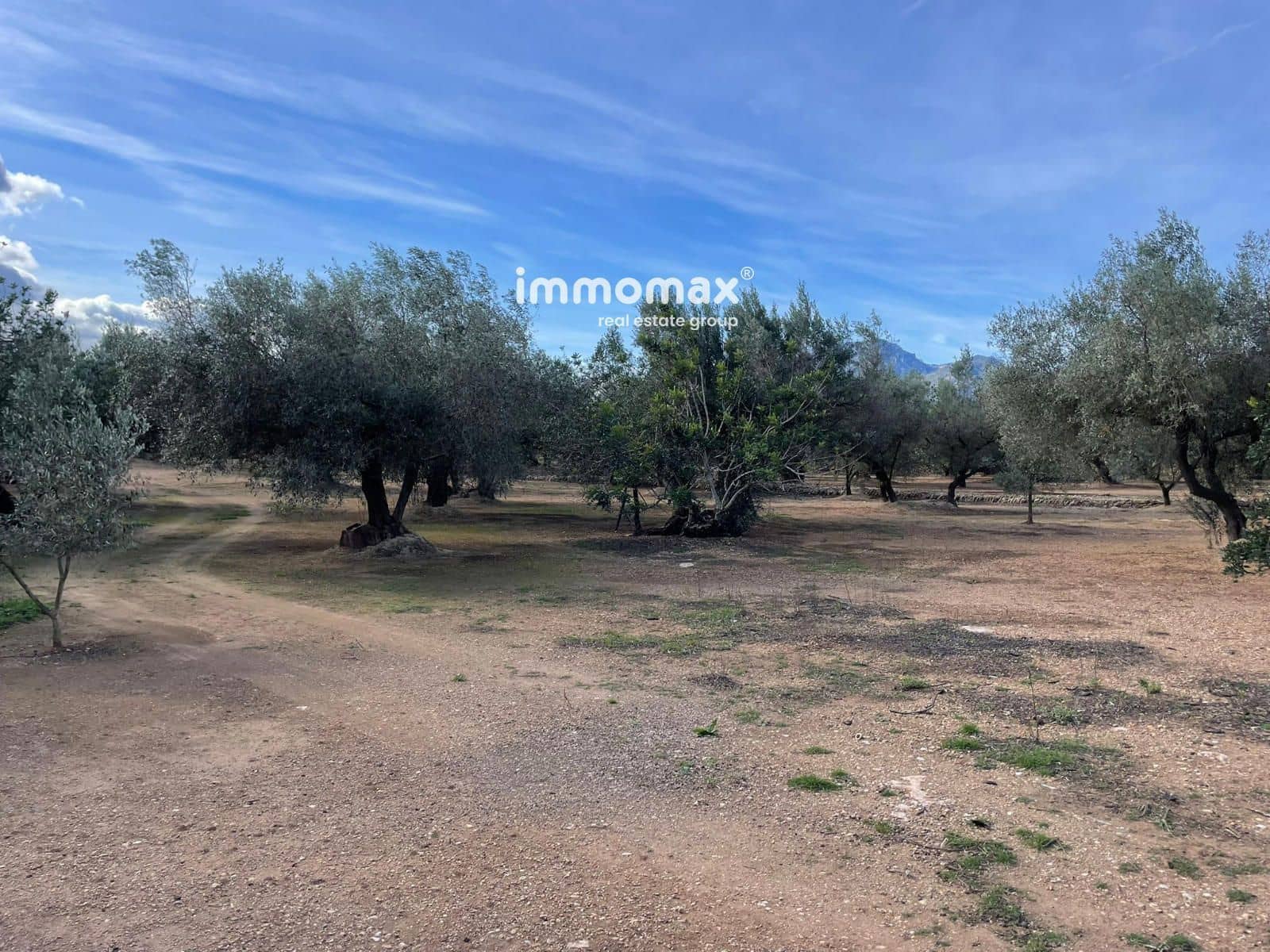 Grunde uden byggetilladelser til salg i Aldover - € 59.000 (Ref: 9606612)