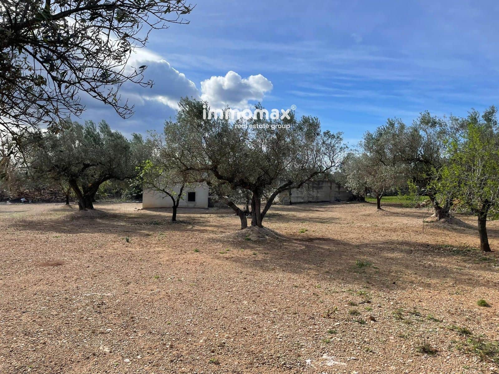 Grunde uden byggetilladelser til salg i Aldover - € 59.000 (Ref: 9606612)