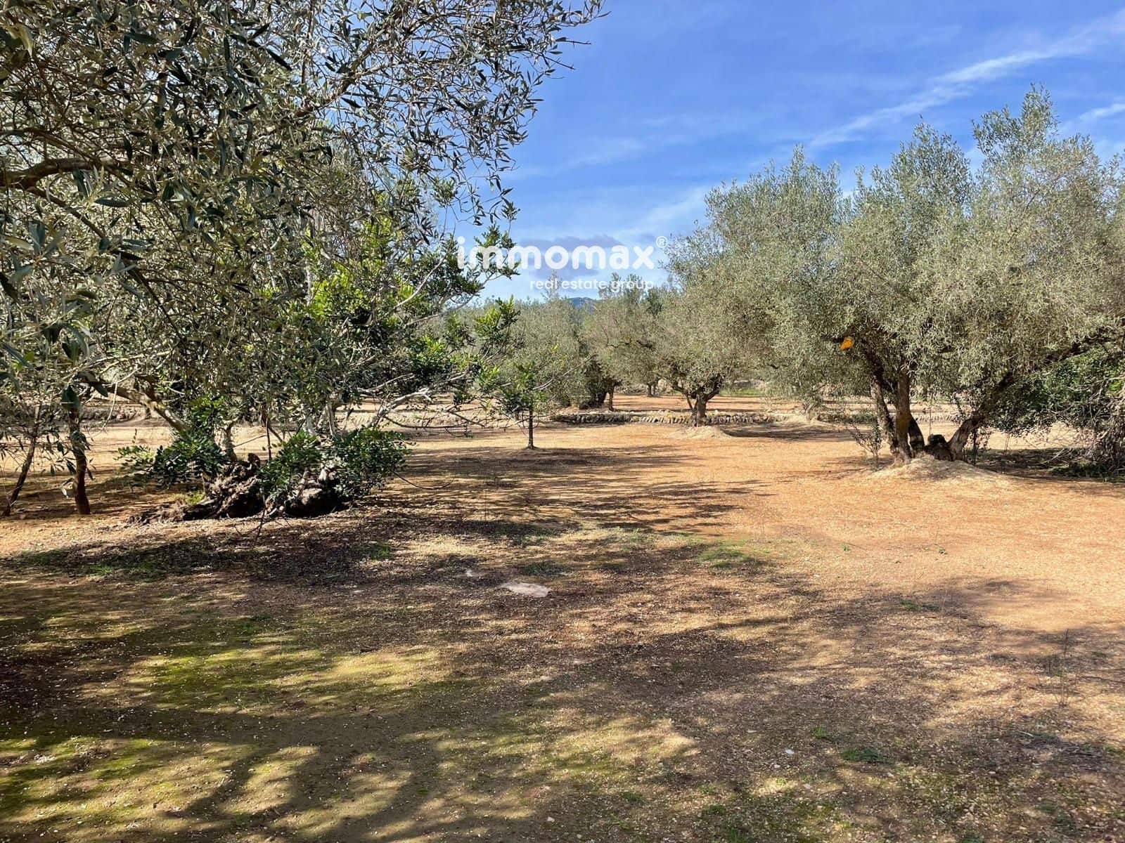 Grunde uden byggetilladelser til salg i Aldover - € 59.000 (Ref: 9606612)