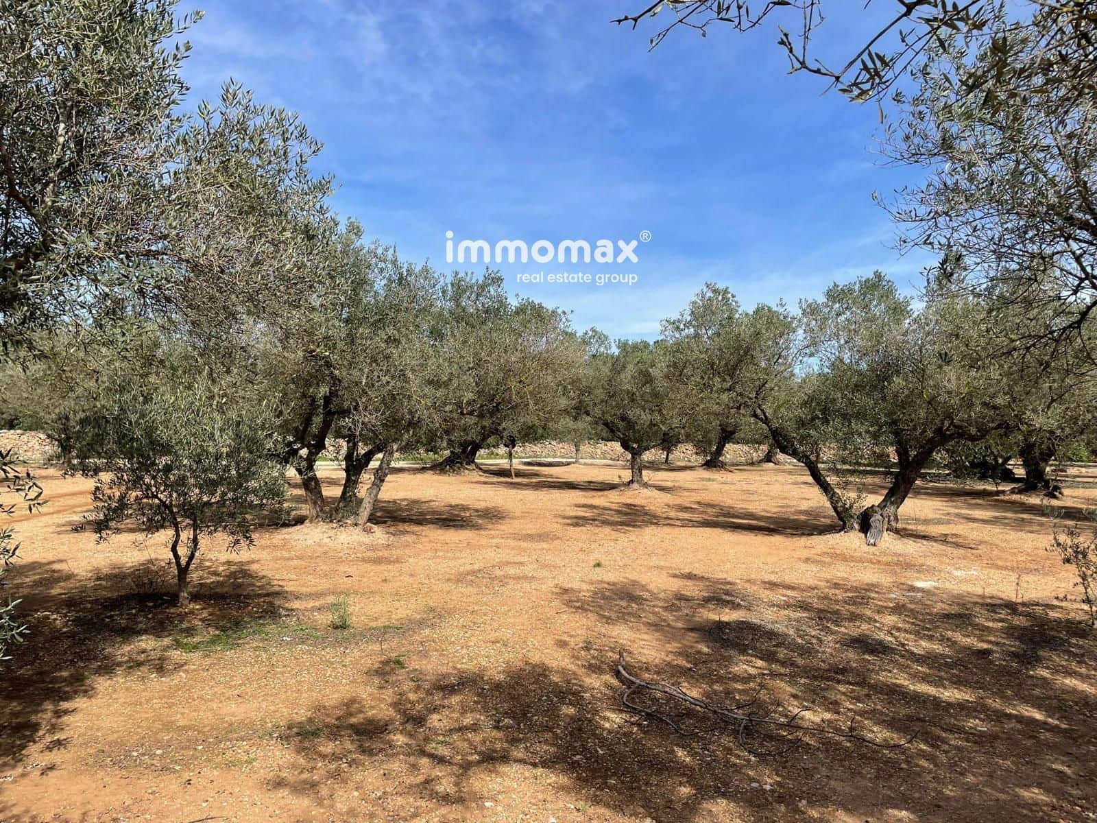 Grunde uden byggetilladelser til salg i Aldover - € 59.000 (Ref: 9606612)