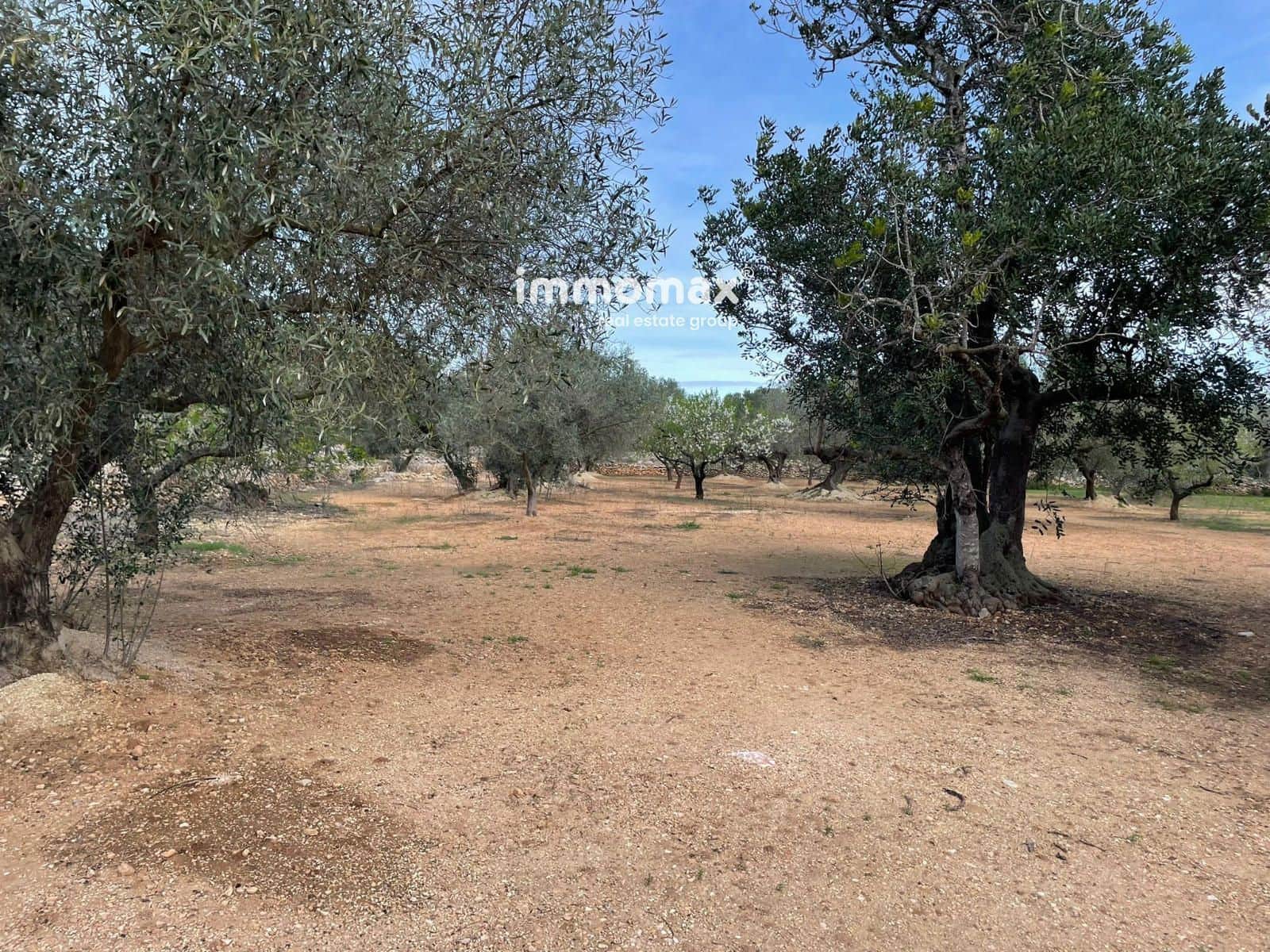 Grunde uden byggetilladelser til salg i Aldover - € 59.000 (Ref: 9606612)