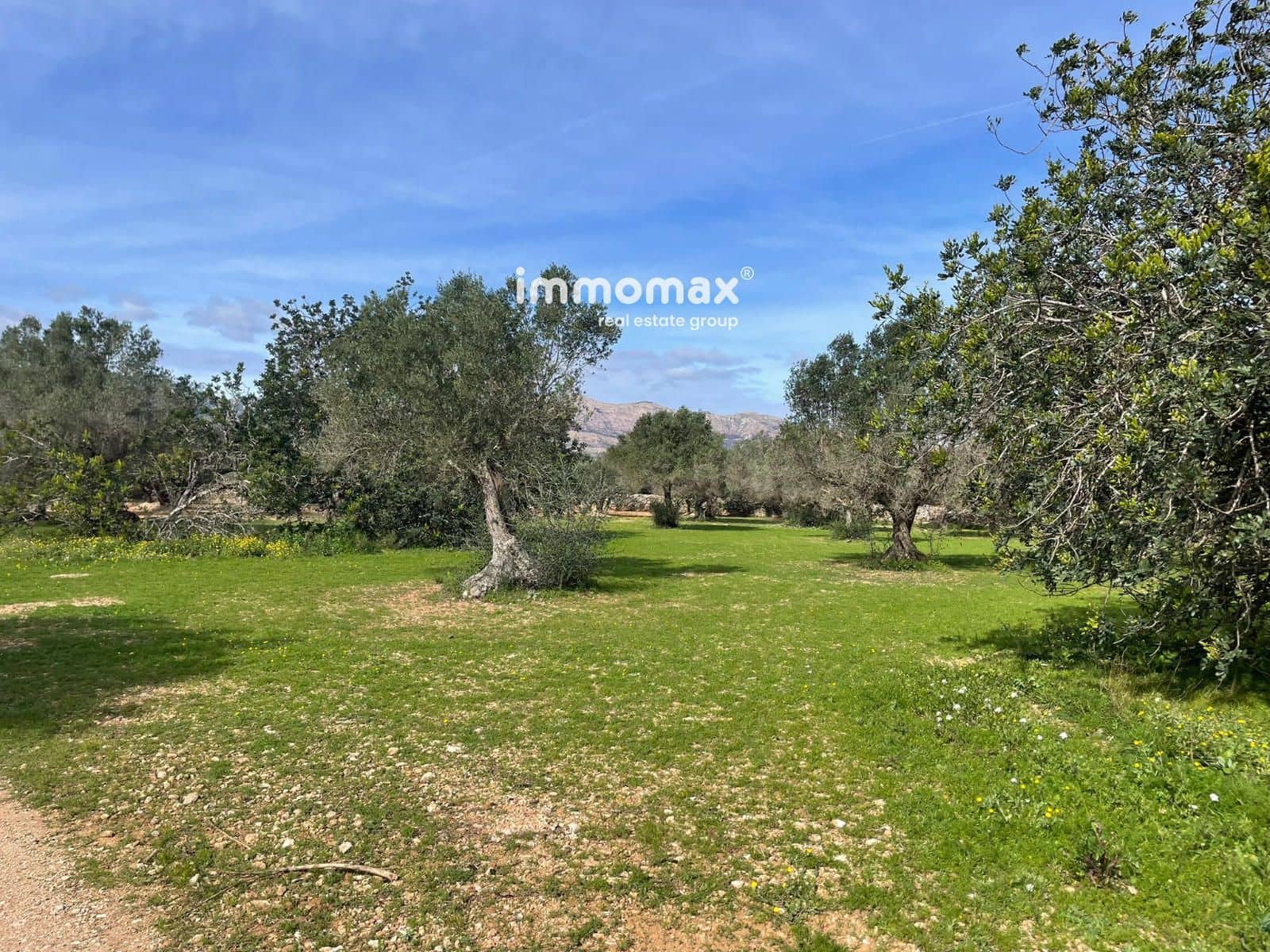 Grunde uden byggetilladelser til salg i Aldover - € 59.000 (Ref: 9606612)