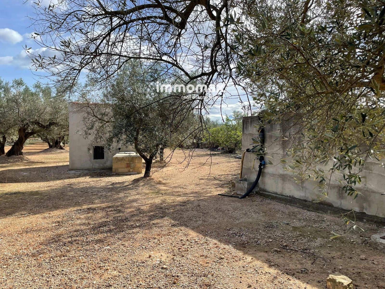 Grunde uden byggetilladelser til salg i Aldover - € 59.000 (Ref: 9606612)