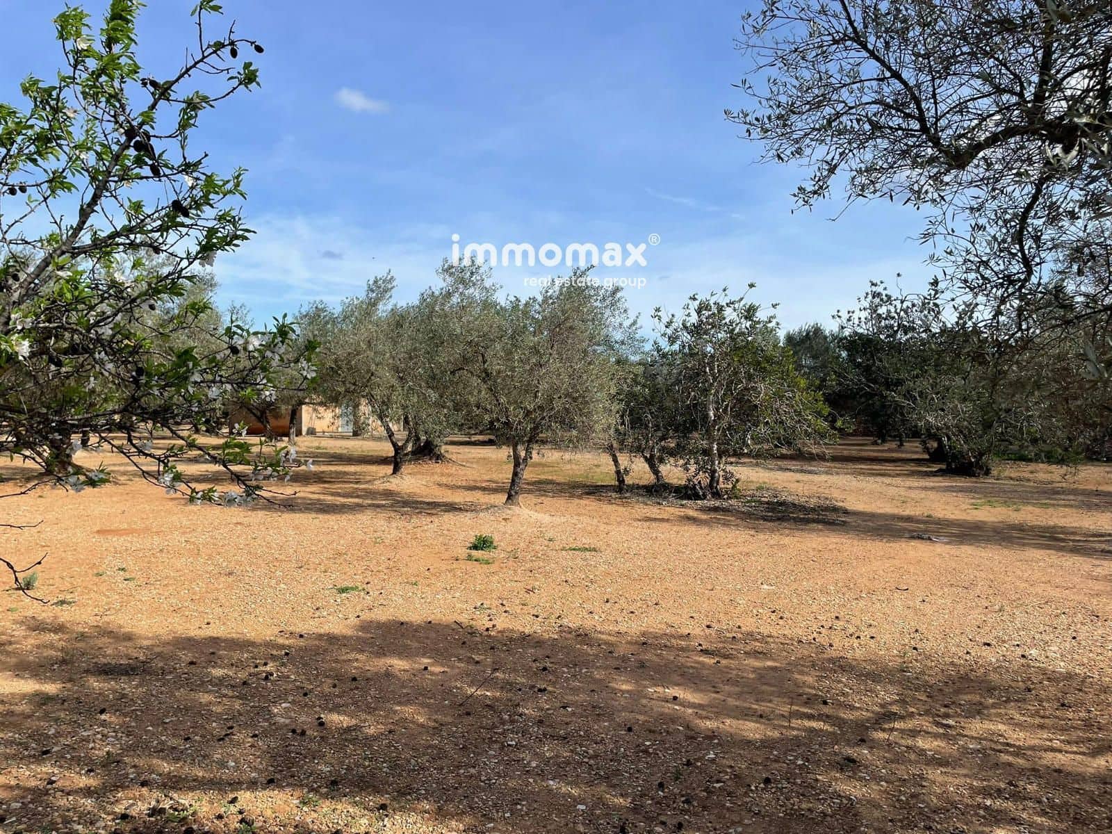 Grunde uden byggetilladelser til salg i Aldover - € 59.000 (Ref: 9606612)