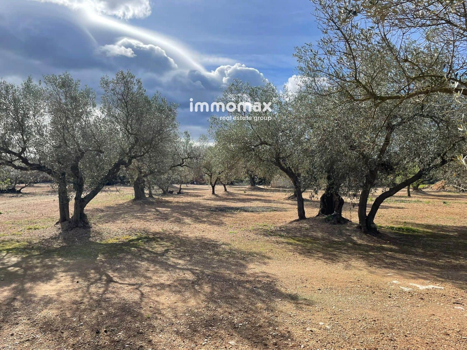 Grunde uden byggetilladelser til salg i Aldover - € 59.000 (Ref: 9606612)