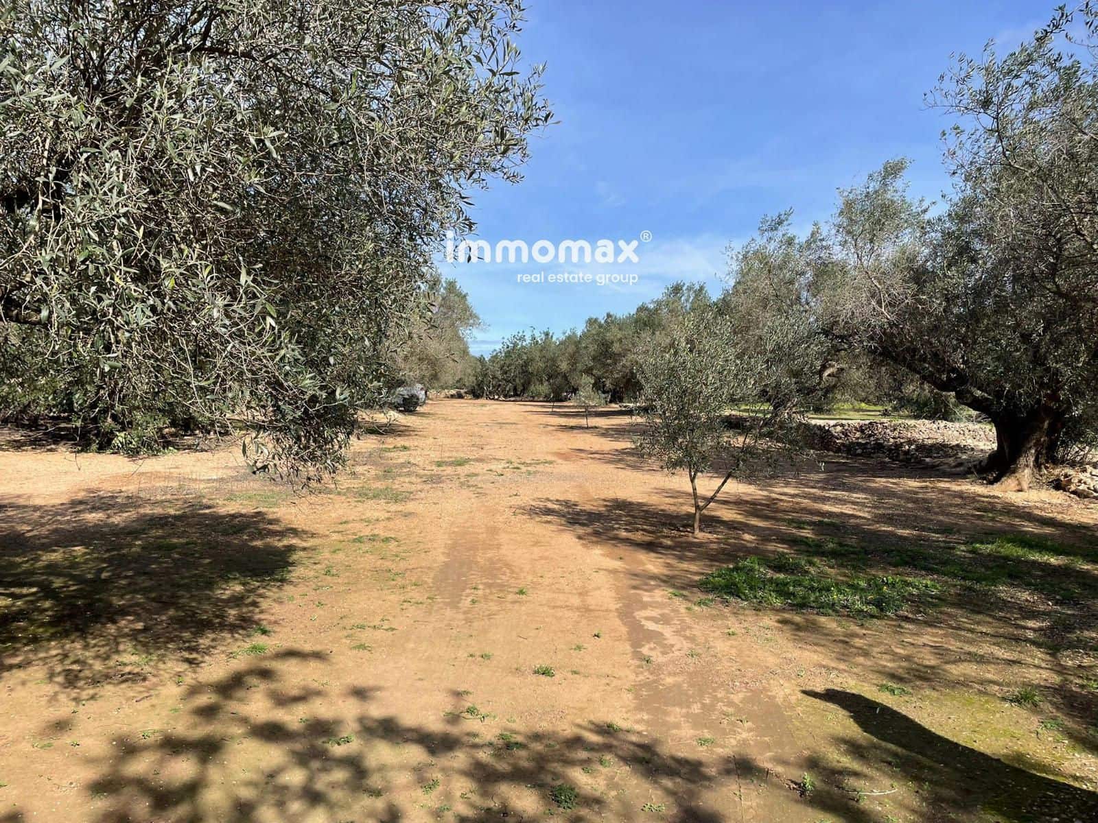 Grunde uden byggetilladelser til salg i Aldover - € 59.000 (Ref: 9606612)