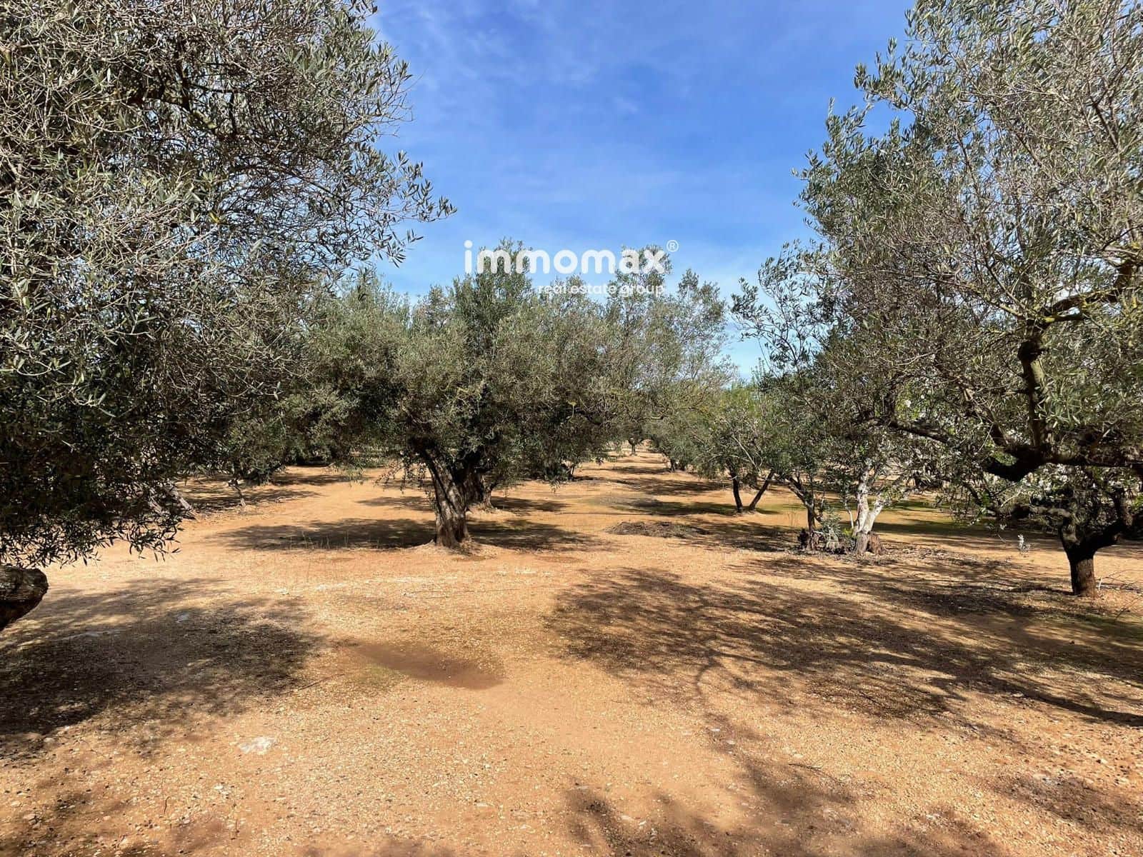 Grunde uden byggetilladelser til salg i Aldover - € 59.000 (Ref: 9606612)