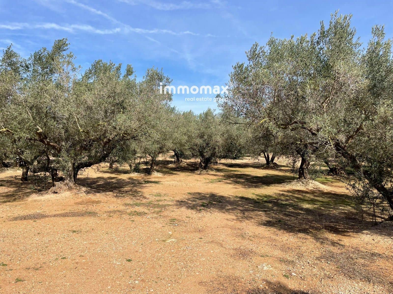 Grunde uden byggetilladelser til salg i Aldover - € 59.000 (Ref: 9606612)