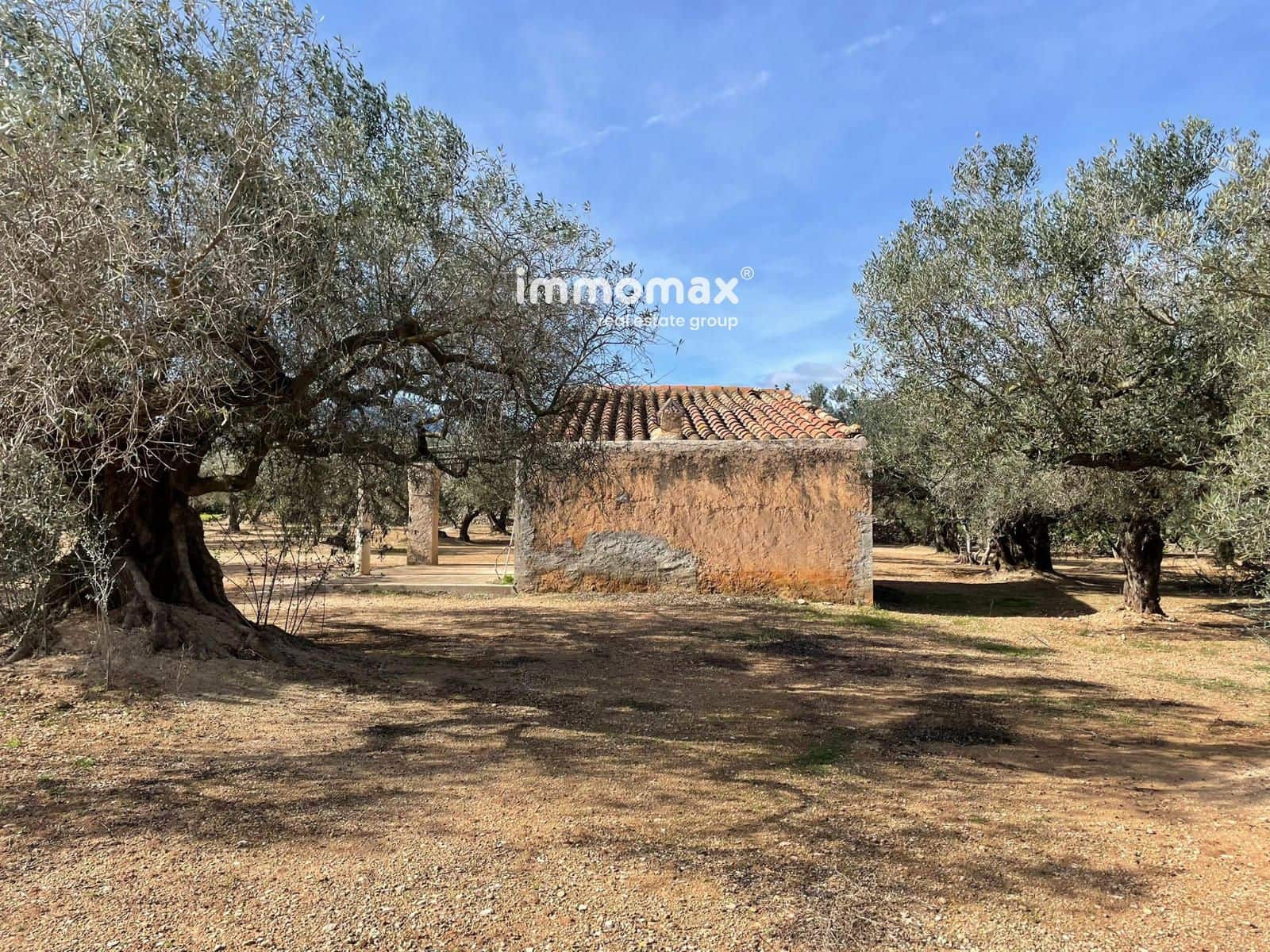 Grunde uden byggetilladelser til salg i Aldover - € 59.000 (Ref: 9606612)