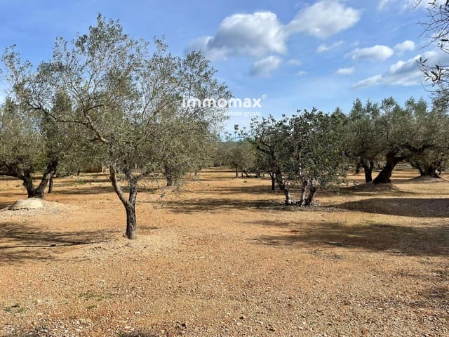 Grunde uden byggetilladelser til salg i Aldover - € 59.000 (Ref: 9606612)