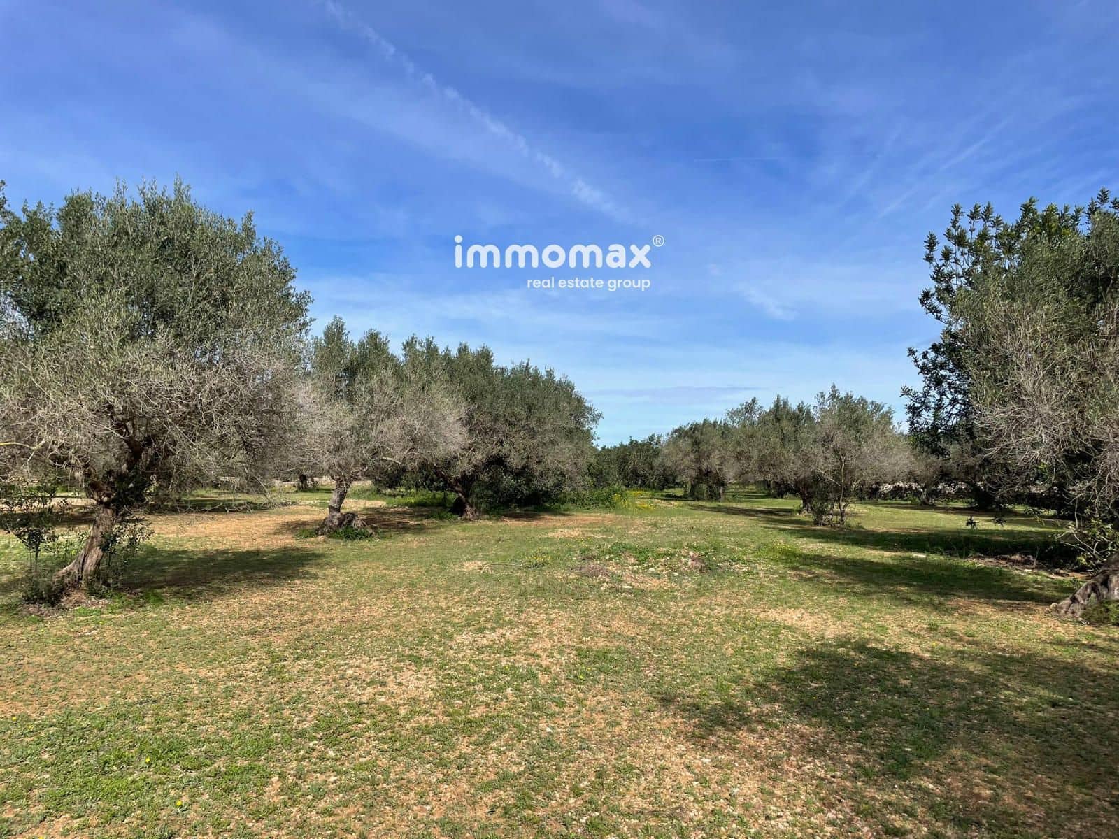 Grunde uden byggetilladelser til salg i Aldover - € 51.000 (Ref: 9609964)