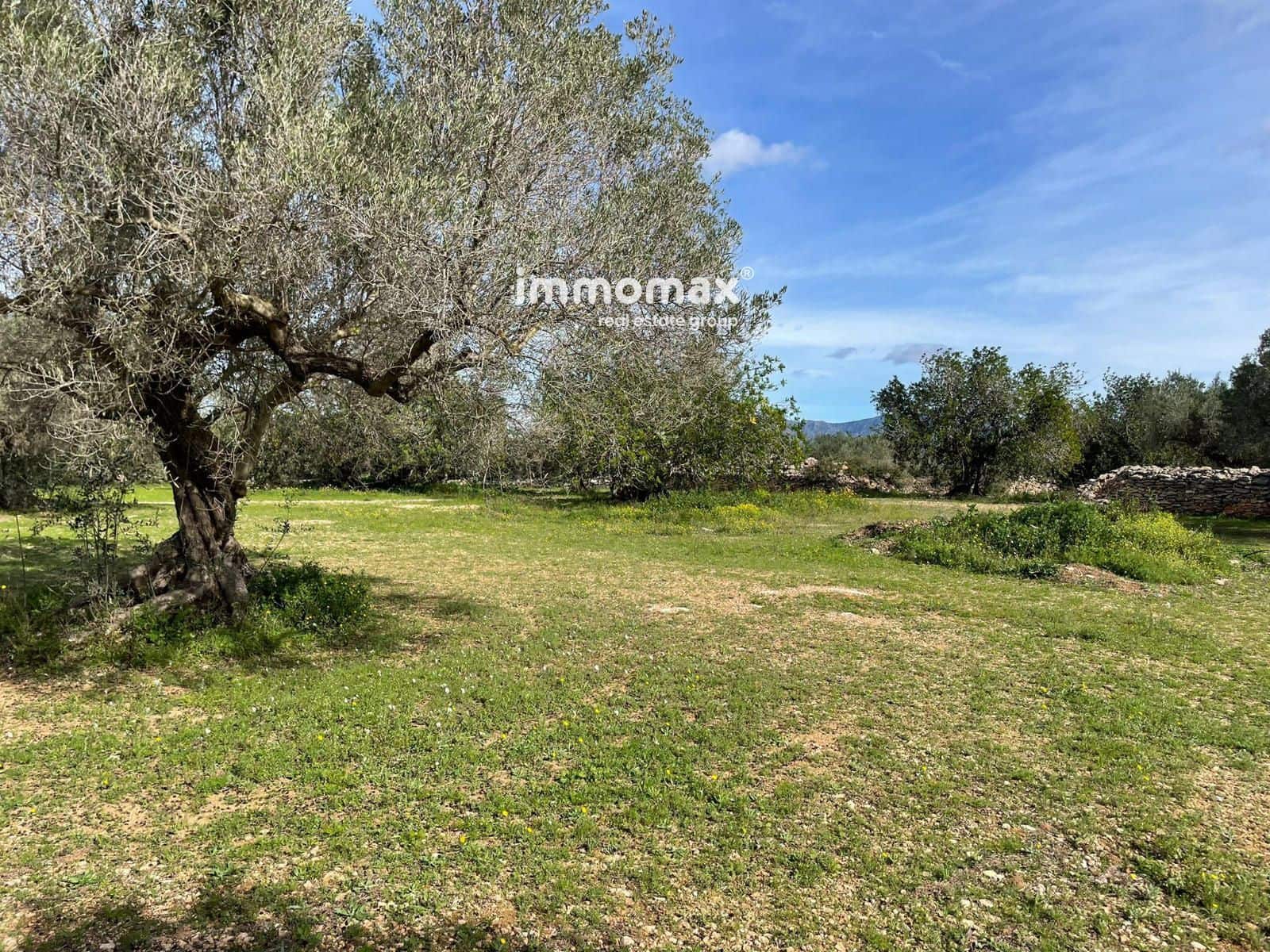 Grunde uden byggetilladelser til salg i Aldover - € 51.000 (Ref: 9609964)