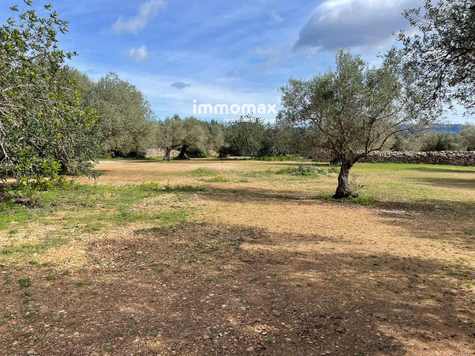 Grunde uden byggetilladelser til salg i Aldover - € 51.000 (Ref: 9609964)