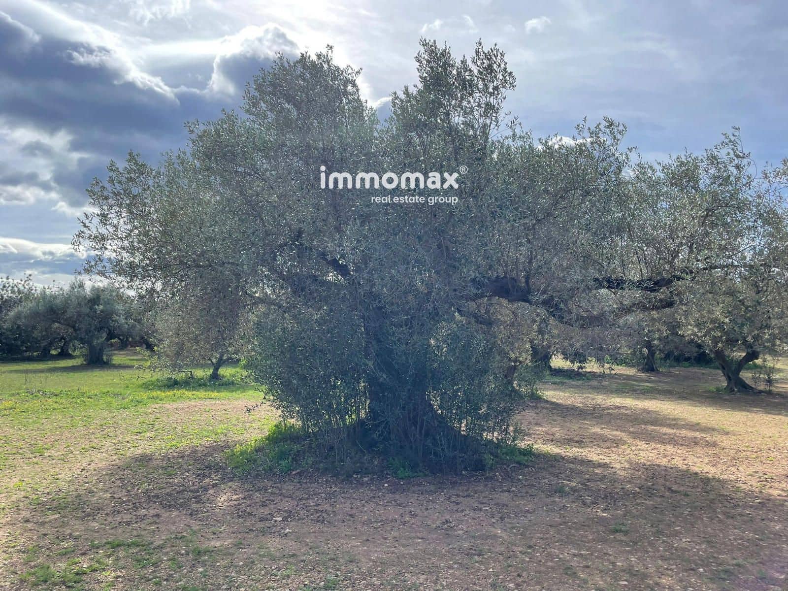 Grunde uden byggetilladelser til salg i Aldover - € 51.000 (Ref: 9609964)