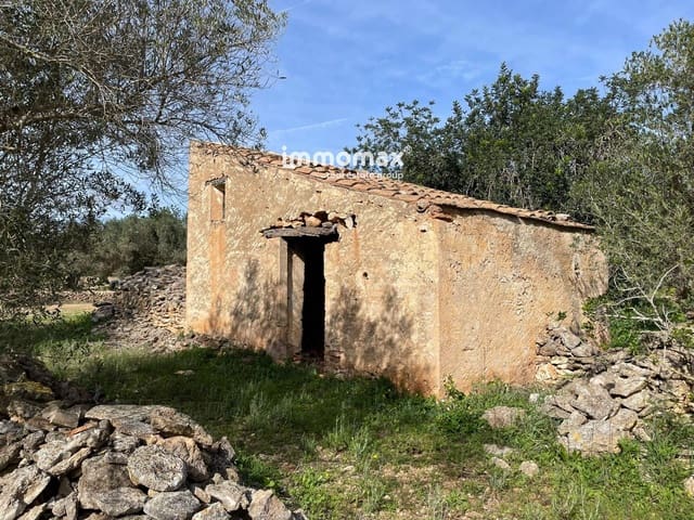 Terre non Aménagée à vendre à Aldover - 51 000 € (Ref: 9609964)